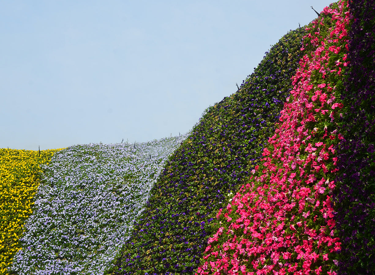 Garden and Landscape Technology