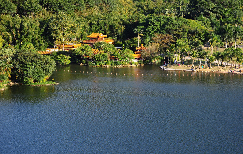 Design of Xian Lake (Fairy Lake) Botanical Garden